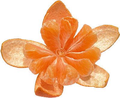 Mandarine